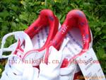 ��Ӧ �ƶȼ� (DWS-803)