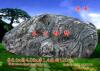 ��Ӧ���ܲ�ģ��(ͼ)
