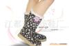 20%���׻�¡,�󶹳��ݼ�,ũҩ,���ݼ�