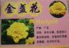 ��Ӧ�Ƶ����� ���� �������� ľ������