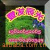 ��ۡ����ƣ����¡�Կ�׿ۡ���ƿ������еȽ�������Ʒ