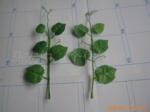 �Ź���Ӣ��ϵ������Ʒ����ʽ˫�����߼�����