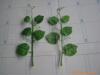 �Ź���Ӣ��ϵ������Ʒ����ʽ˫�����߼�����