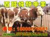 ��ӦLY12���ܼӹ�-���ƻ�е�������ӹ�
