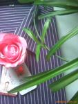 ��Ӧ�����������/������/�������Ƴ�