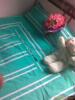��Ӧ3��ȪWZ��WG��WA��ϵ��΢����ѹ��