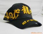 �ṩ2007���ｻ��չ