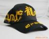 �ṩ2007���ｻ��չ