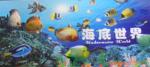 רҵ�ṩ�������ȸ������ӹ������Ͻ�ӹ�