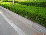 ��Ӧ�޷Ĳ������,�޷Ĳ���,�޷Ĳ�����