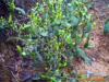 ��ˮ����PH����,CREEDA PH/ORP800