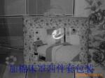 ��Ӧ��㡢��Ҷ����顢�Ͼ������ˡ�ӣ������ޱ