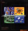 ���ֲ��-޹�²� �Ե��� ������ ��Ҷ޹�²�