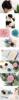 ��Ӧ���ͻ���ݱ�����--���˽��������콶����β��