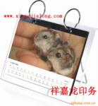 ��Ӧ�Ͱ��޴��ֻ�Ь