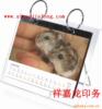 ��Ӧ�Ͱ��޴��ֻ�Ь