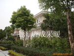 ��Ӧ�޹�������