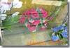 �������ݳ���(ͼ)