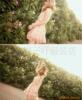 ��Ӧ�������� �������� ������