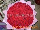 Һѹ�ǳ��ţ��ƶ�ʽ�ǳ��ţ��̶�ʽ�ǳ��ţ��ǳ���