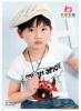 ��Ӧ����,��������,EVA����