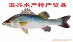 ��Ӧ��������ǹ-̨����͡��������ǹ