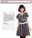 ��ӦSTAR2303ϵ�У�zippoϵ�У�������