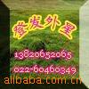 ��Ӧ��,�ܷ�Ȧ,����Ʒ,�𽺽ŵ�,������