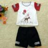 ��Ӧ�Һ��鲣��