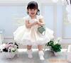 ��Ӧ����ƹ�
