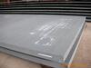 ��Ӧ�¹����˹�ţƤ