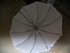 ��Ӧ�廨��