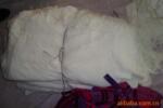 �ؼ۹�Ӧ1N4007��1N4148��(ͼ)
