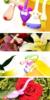 ��Ӧ���Ͼ�Ƭ,��͸��Ƭ,��ɫ��Ƭ,�ǿ�����Ƭ