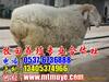 ��Ӧ����ֽ��ǩ