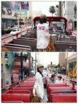 ��Ӧ����ǹ
