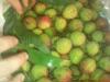 ��Ӧ���ô����๦����Ǵ���QC��001A��