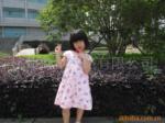 ��Ӧ���¡����¡����ơ����������¡���������