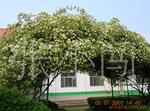 供应DH-1601B 除湿机