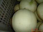 ��Ӧ���Ķ������� «������