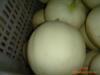 ��Ӧ���Ķ������� «������