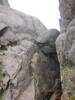 ��Ӧ�鲼���������������۶Ա��鲼�����Զ�����鲼��