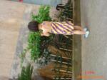 ��Ӧ����ɱ������KV2006(ͼ)