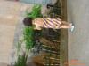 ��Ӧ����ɱ������KV2006(ͼ)
