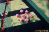 ��ӦFGW���⸺�ɣ����룩����(ͼ)