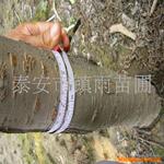 20A�Ӵ��� �����Ӵ��� ������UL,TUV�Ӵ���