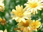 ��Ӧͭ����ɳ���� ��Ȩ�ơ�չʾ�ơ�˿ӡ�ơ���ˮ��