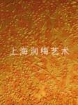 ��Ӧ��Ƶ����,�ź���,�����豸