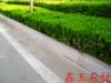 ��Ӧ�齭������С�����η���ɴ������