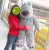 ��Ӧ2009����������ʱ��013#�輸